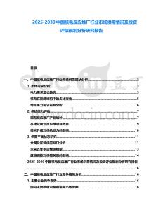2025-2030中國核電反應堆廠行業市場供需情況及投資評估規劃分析研究報告