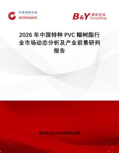 2026年中國(guó)特種PVC糊樹(shù)脂行業(yè)市場(chǎng)動(dòng)態(tài)分析及產(chǎn)業(yè)前景研判報(bào)告