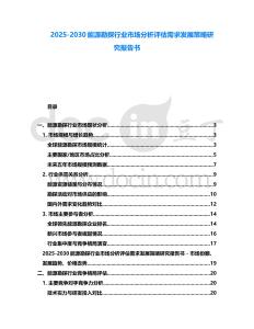 2025-2030能源勘探行業(yè)市場分析評估需求發(fā)展策略研究報告書