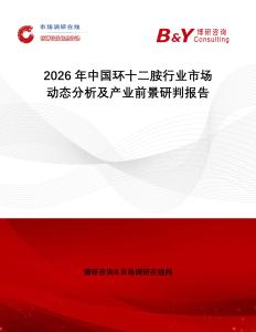 2026年中國環(huán)十二胺行業(yè)市場動態(tài)分析及產(chǎn)業(yè)前景研判報告