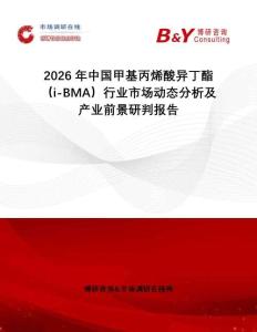 2026年中國(guó)甲基丙烯酸異丁酯（i-BMA）行業(yè)市場(chǎng)動(dòng)態(tài)分析及產(chǎn)業(yè)前景研判報(bào)告