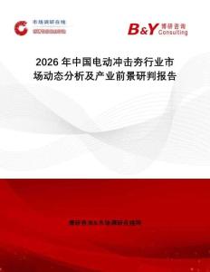 2026年中國電動沖擊夯行業市場動態分析及產業前景研判報告