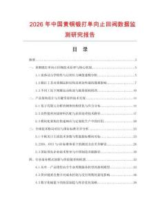 2026年中國黃銅鍛打單向止回閥數據監測研究報告
