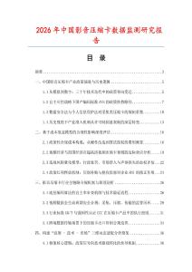 2026年中国影音压缩卡数据监测研究报告