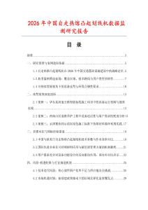 2026年中國自走熱熔凸起劃線機數據監測研究報告