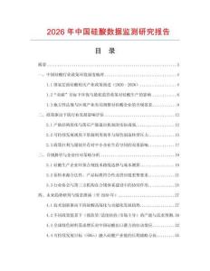 2026年中國硅酸數(shù)據(jù)監(jiān)測研究報告