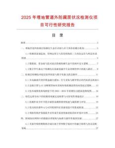 2025年埋地管道外防腐層狀況檢測儀項目可行性研究報告