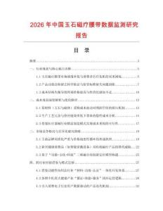 2026年中國玉石磁療腰帶數據監測研究報告