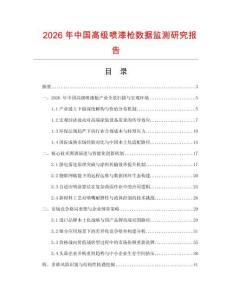 2026年中國高級噴漆槍數據監測研究報告