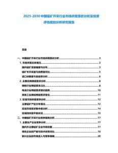 2025-2030中國錳礦開采行業(yè)市場供需現(xiàn)狀分析及投資評估規(guī)劃分析研究報告