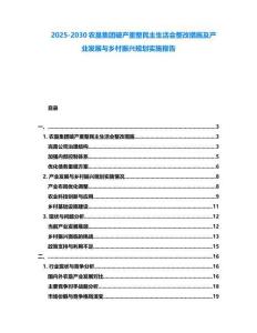 2025-2030農墾集團破產重整民主生活會整改措施及產業發展與鄉村振興規劃實施報告