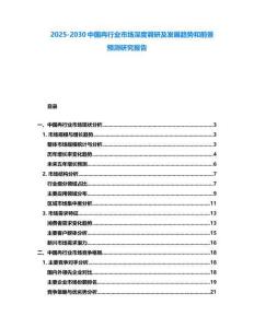 2025-2030中國冉行業市場深度調研及發展趨勢和前景預測研究報告