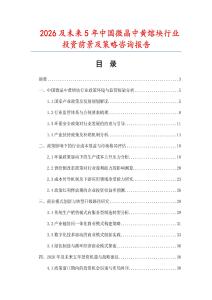 2026及未來5年中國微晶中黃熔塊行業投資前景及策略咨詢報告