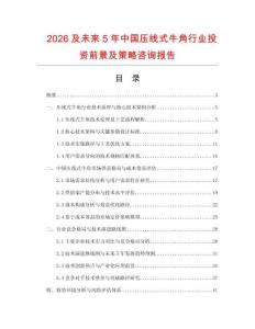 2026及未來5年中國壓線式牛角行業投資前景及策略咨詢報告