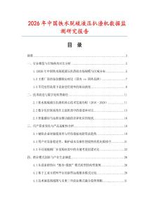 2026年中國(guó)鐵水脫硫液壓扒渣機(jī)數(shù)據(jù)監(jiān)測(cè)研究報(bào)告