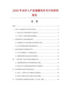 2025年光纖入戶連接器項目可行性研究報告