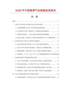 2026年中國直柄氣鉆數(shù)據(jù)監(jiān)測報(bào)告