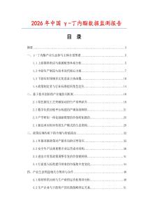 2026年中國γ-丁內酯數據監測報告