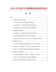 2026年中國氣打銹錘數據監測研究報告