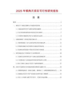 2025年鋼角尺項目可行性研究報告