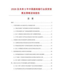 2026及未來5年中國直線鋸行業(yè)投資前景及策略咨詢報告