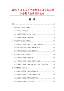 2025及未來5年中國燈罩云母板市場現(xiàn)狀分析及前景預測報告