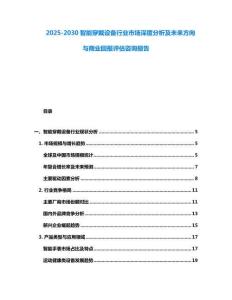 2025-2030智能穿戴設備行業市場深度分析及未來方向與商業回報評估咨詢報告