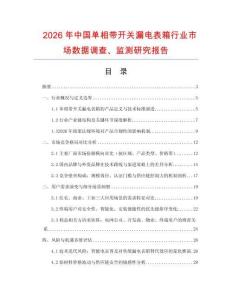 2026年中國單相帶開關漏電表箱行業市場數據調查、監測研究報告