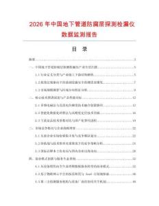 2026年中國地下管道防腐層探測檢漏儀數(shù)據(jù)監(jiān)測報告