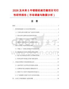 2026及未來5年鎖眼機(jī)梭芯套項(xiàng)目可行性研究報(bào)告（市場調(diào)查與數(shù)據(jù)分析）