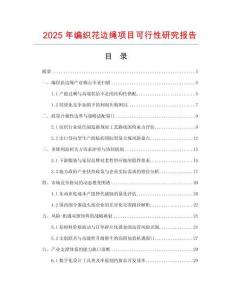 2025年編織花邊繩項目可行性研究報告