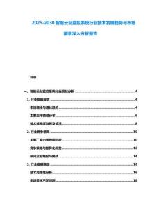 2025-2030智能云臺(tái)監(jiān)控系統(tǒng)行業(yè)技術(shù)發(fā)展趨勢(shì)與市場(chǎng)前景深入分析報(bào)告