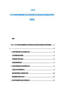 2025-2030雞毛纖維梳理行業市場供需分析及投資評估規劃分析研究報告