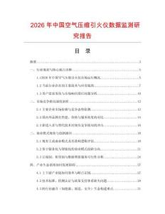 2026年中國空氣壓縮引火儀數據監測研究報告