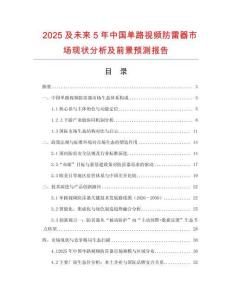 2025及未來5年中國單路視頻防雷器市場現(xiàn)狀分析及前景預(yù)測報(bào)告