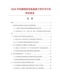 2025年防腐型鉑電阻溫度計項目可行性研究報告