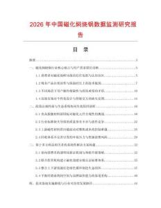 2026年中國磁化燜燒鍋數據監測研究報告
