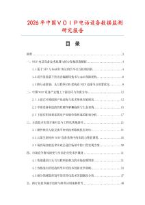 2026年中國ＶＯＩＰ電話設備數據監測研究報告