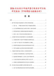 2026及未來5年揚(yáng)聲器引線項(xiàng)目可行性研究報(bào)告（市場(chǎng)調(diào)查與數(shù)據(jù)分析）
