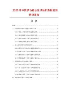 2026年中國多功能水壓試驗(yàn)機(jī)數(shù)據(jù)監(jiān)測研究報(bào)告