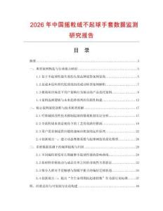 2026年中國搖粒絨不起球手套數據監測研究報告