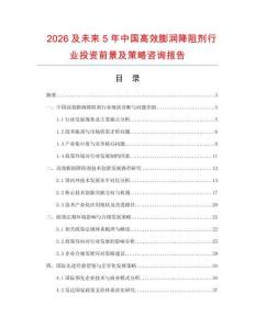 2026及未來(lái)5年中國(guó)高效膨潤(rùn)降阻劑行業(yè)投資前景及策略咨詢報(bào)告