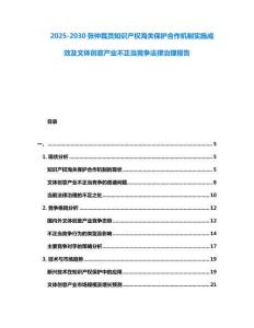 2025-2030張仲裁員知識產權海關保護合作機制實施成效及文體創意產業不正當競爭法律治理報告
