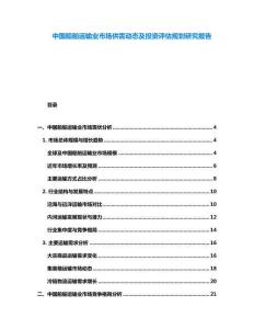 中國船舶運輸業(yè)市場供需動態(tài)及投資評估規(guī)劃研究報告