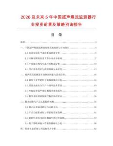 2026及未來5年中國超聲煤流監測器行業投資前景及策略咨詢報告