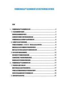 中國極地航運產(chǎn)業(yè)發(fā)展前景與市場開拓策略分析報告
