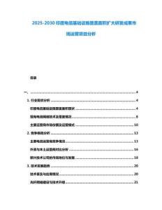 2025-2030印度電信基礎設施覆蓋面積擴大研發(fā)成果市場運營項目分析