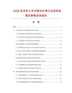 2026及未來5年中國米燈串行業(yè)投資前景及策略咨詢報告