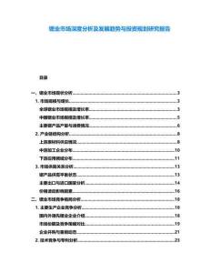 鍶業市場深度分析及發展趨勢與投資規劃研究報告
