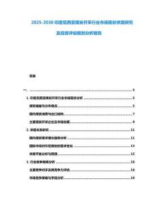2025-2030印度尼西亞煤炭開采行業市場現狀供需研究及投資評估規劃分析報告